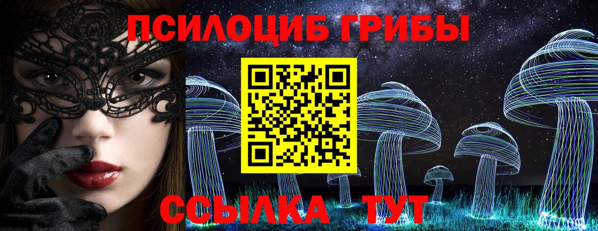 Ноябрьск  Галлюциногенные грибы Psilocybine cubensis  Вход с VPN 